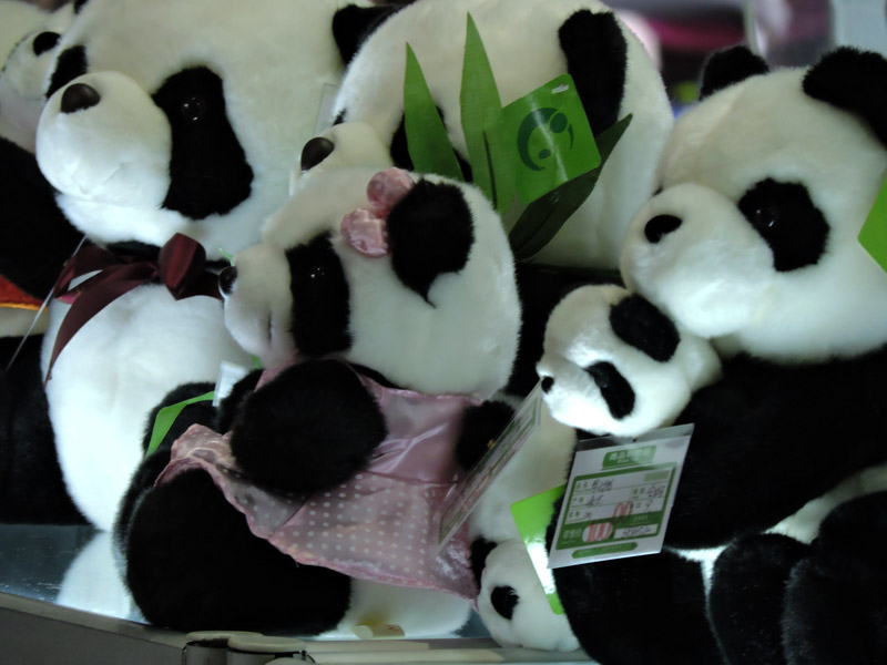 亲子游礼物 成都玩具毛绒熊猫