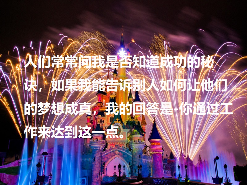 迪士尼乐园的秀迪士尼亲子游 迪士尼语录