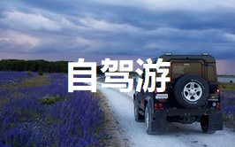 自驾亲子游亲子旅行的自驾游