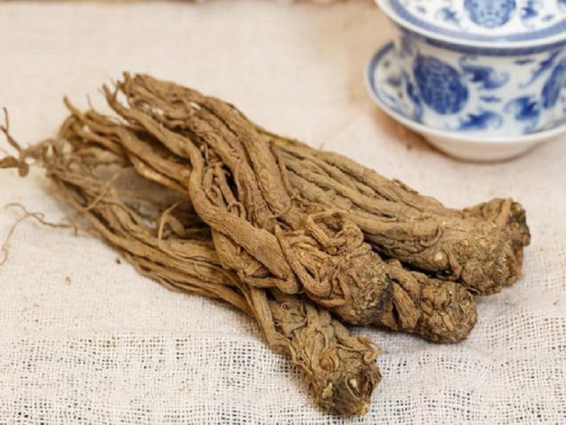 Chinese angelica for health benefits