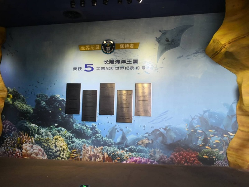 荣获5项吉尼斯世界纪录的珠海长隆海洋王国珠海亲子游