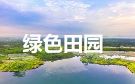绿色生态亲子游 农家乐亲子游绿色田园亲子游