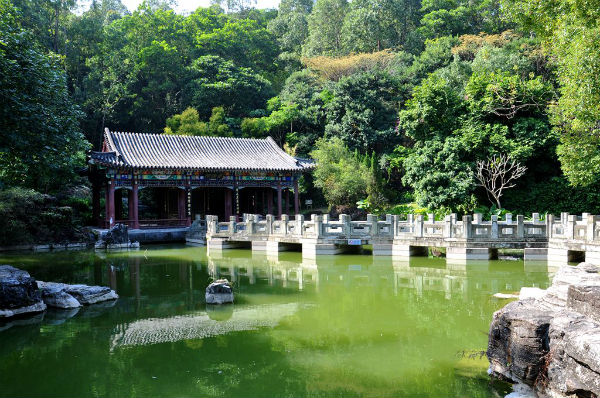 深圳园博园 深圳亲子游景点深圳亲子游戏亲子活动方案