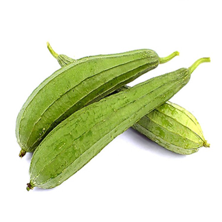 Chinese food recipe Chinese food loofah nutrition facts health benefits Chinese food recipe Chinese food loofah nutrition facts health benefits
