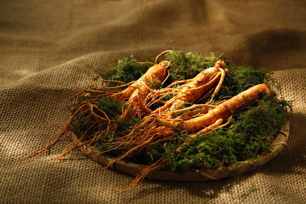 Ginseng health benefits Ginseng health benefits Chinese herbs health benefits