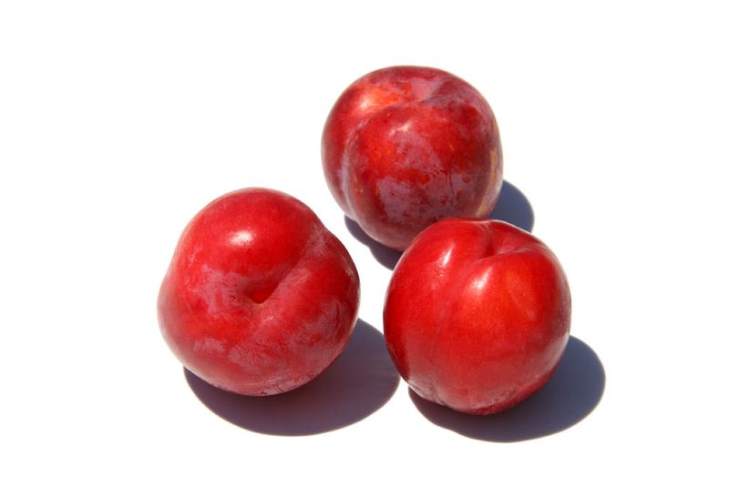 plum nutrition facts benefits nutrition facts Chinese food recipes;What to eat to keep healthy naturally.Healthy fruit