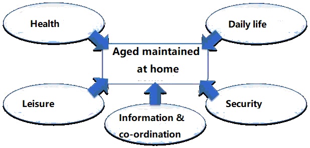 Organization of professional actors for smart health home support