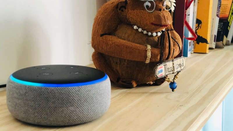 What is the Amazon Echo Dot voice assistant worth? (Test)